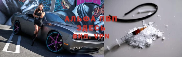 PSILOCYBIN Липки