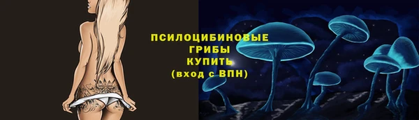 PSILOCYBIN Липки