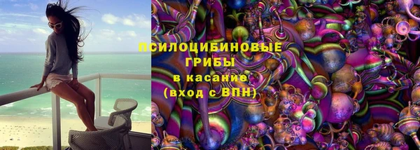 PSILOCYBIN Липки