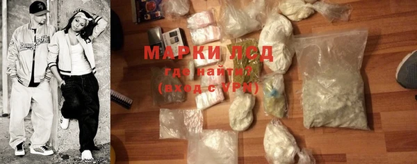 PSILOCYBIN Липки